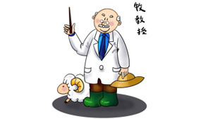 響應式網站建設